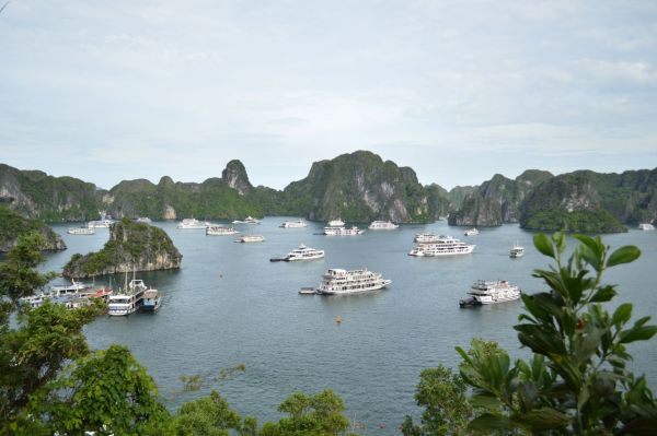 Expériences inoubliables en jonque dans la baie d'halong
